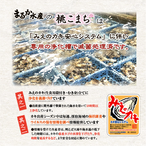 生食用 牡蠣（むき身）桃こまち 300g [牡蠣]