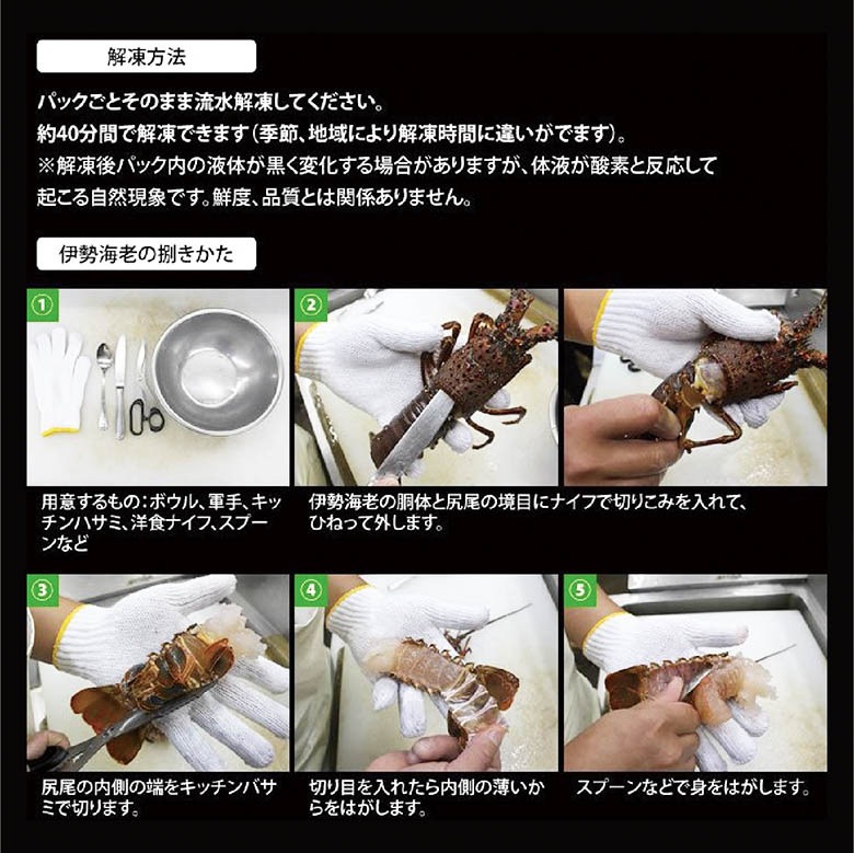 刺身用伊勢海老 凍眠冷凍 大きめサイズ 270～330g[凍眠冷凍伊勢海老]（入数：1尾）