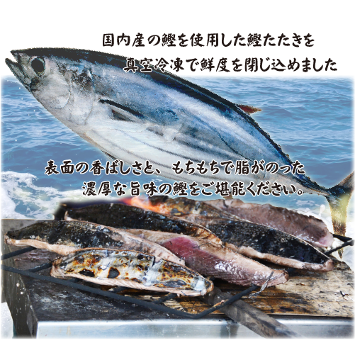港直送 天然新鮮鰹 約85cm 7〜8キロ 港直送 天然新鮮鰹 約85cm 7〜8キロ