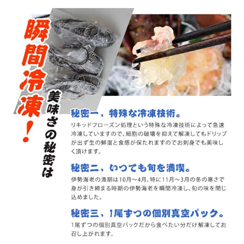 刺身用伊勢海老 凍眠冷凍 大きめサイズ 1尾 330～400g [刺身用