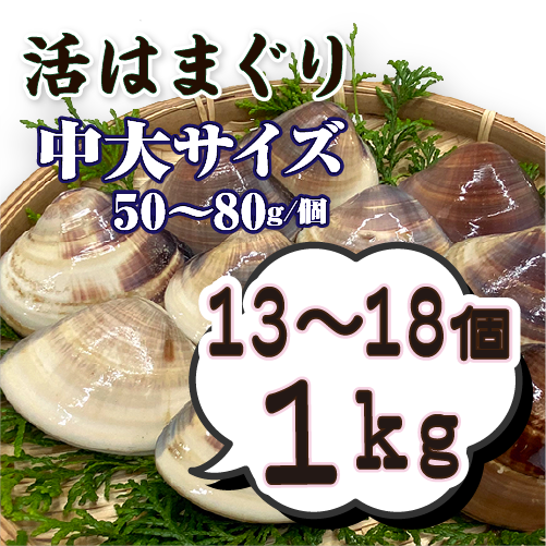 活はまぐり 中大サイズ 50～80g 国産 [はまぐり] | 貝類