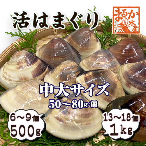 活はまぐり 中大サイズ 50～80g 国産 [はまぐり]