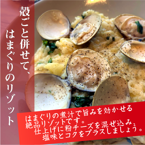 活はまぐり 中大サイズ 50～80g 国産 [はまぐり]