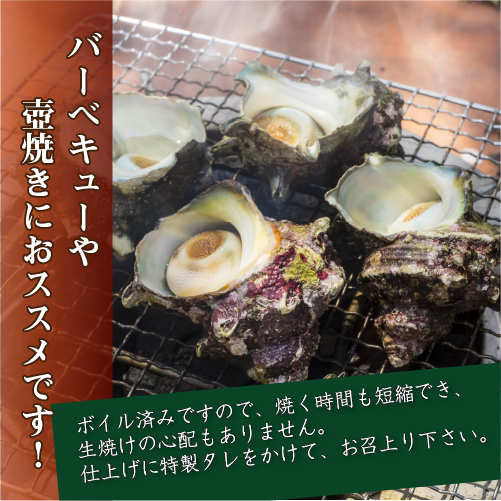 冷凍 天然 姫さざえ ボイル済 訳あり（サイズ不揃い）特製たれ付 [ボイルサザエ]（40～60g×14～18個入）