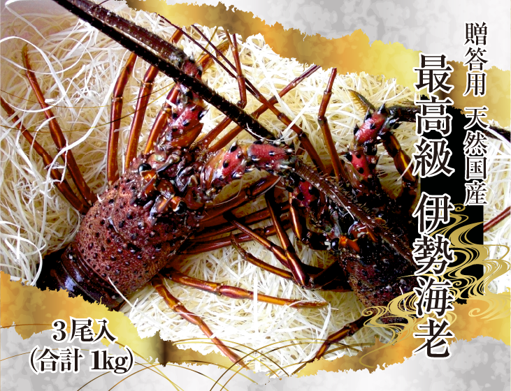 高級 天然 伊勢海老 三重県産 大きめサイズ 3尾入 1.0kg ★ [活伊勢海老]