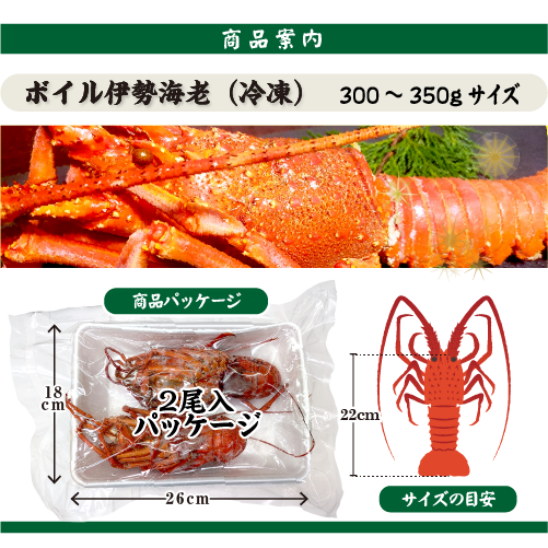 ボイル 伊勢海老（冷凍）ちょっと訳あり 300～350g[冷凍伊勢海老]