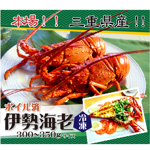 ボイル 伊勢海老（冷凍）ちょっと訳あり 300～350g[冷凍伊勢海老]