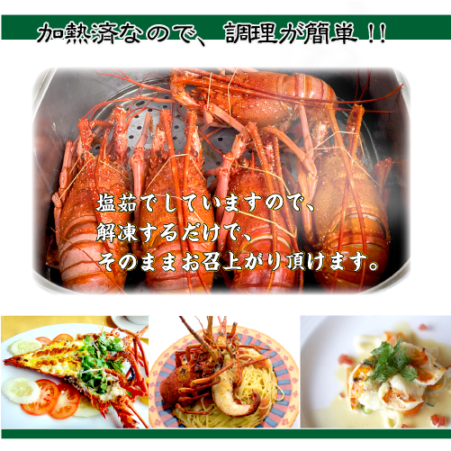 ボイル 伊勢海老（冷凍）ちょっと訳あり 300～350g[冷凍伊勢海老]