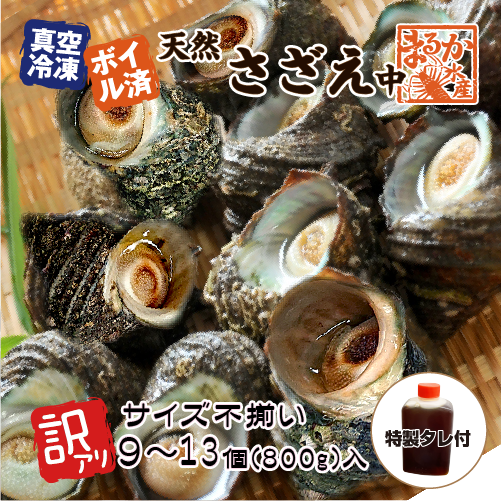 冷凍 天然さざえ ボイル済 訳あり（サイズ不揃い） 特製たれ付 [ボイルサザエ]（60～100g×9～13個入）