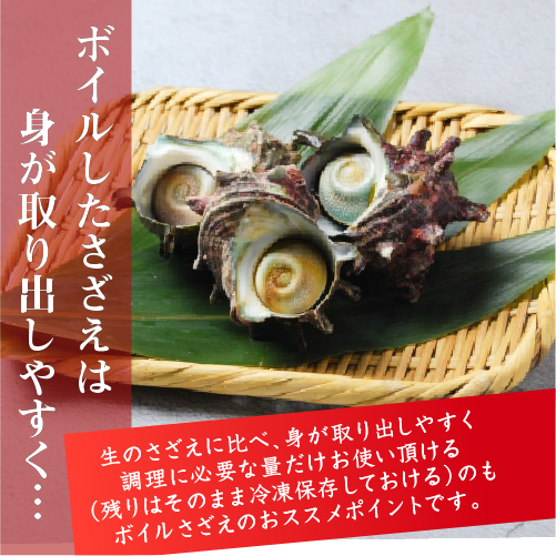 冷凍 天然さざえ ボイル済 訳あり（サイズ不揃い） 特製たれ付 [ボイルサザエ]（60～100g×9～13個入）