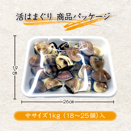 活はまぐり 中サイズ 40～60g 国産 [はまぐり]