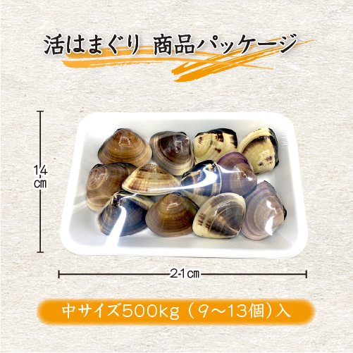 活はまぐり 中サイズ 40～60g 国産 [はまぐり]