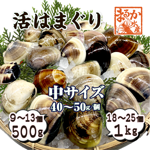 活はまぐり 中サイズ 40～60g 国産 [はまぐり]