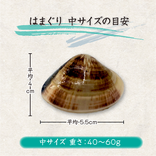 冷凍 はまぐり 中サイズ 40～60g（18～25個/kg）[はまぐり]（入数:1kg分）