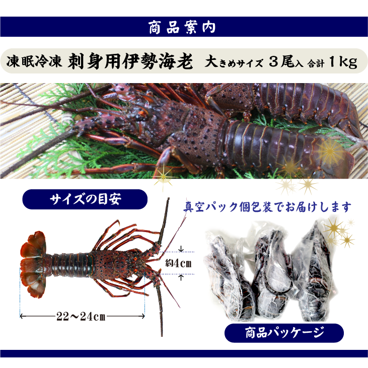 刺身用伊勢海老 凍眠冷凍 大きめサイズ 3尾入 1.0kg ★[刺身用伊勢海老]