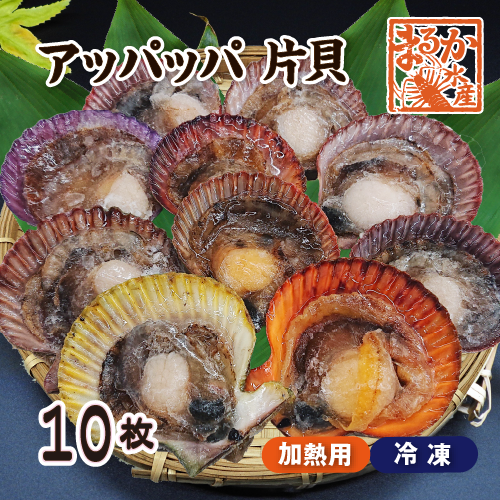 冷凍 アッパッパ片貝（ひおうぎ貝） 10枚 [桧扇貝] | 貝類,その他の貝