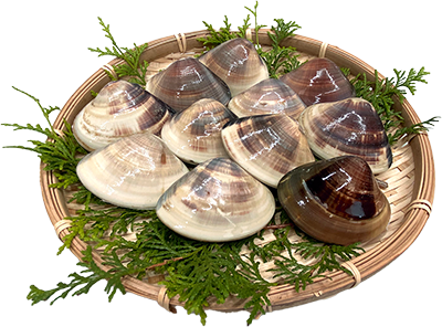 冷凍 はまぐり 中サイズ 40～60g（18～25個/kg）[はまぐり]