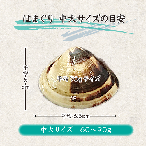 冷凍 はまぐり 中サイズ 40～60g（18～25個/kg）[はまぐり]
