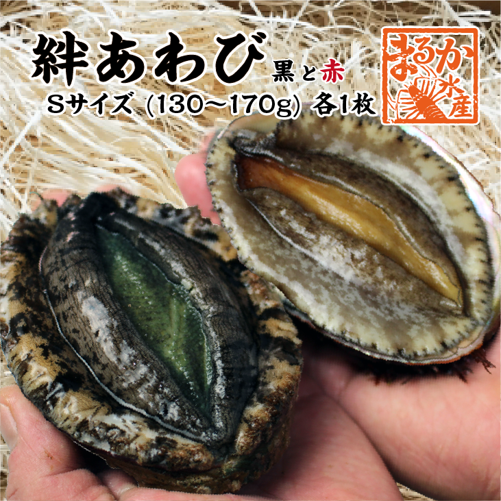 絆あわび（天然黒赤あわびのつがいセット）Sサイズ 130～170g　各1枚 ★[あわび]