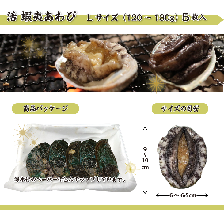 活 蝦夷あわび 120～130g Lサイズ[あわび]（入数:5枚 ★）