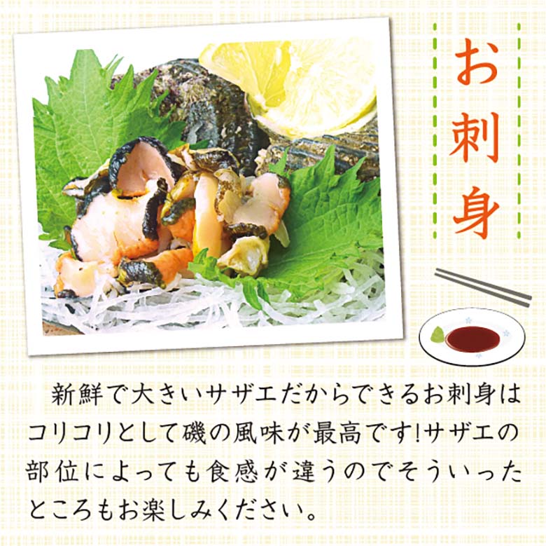 天然活 さざえ 大サイズ 1kg 8個 120～150g [さざえ]