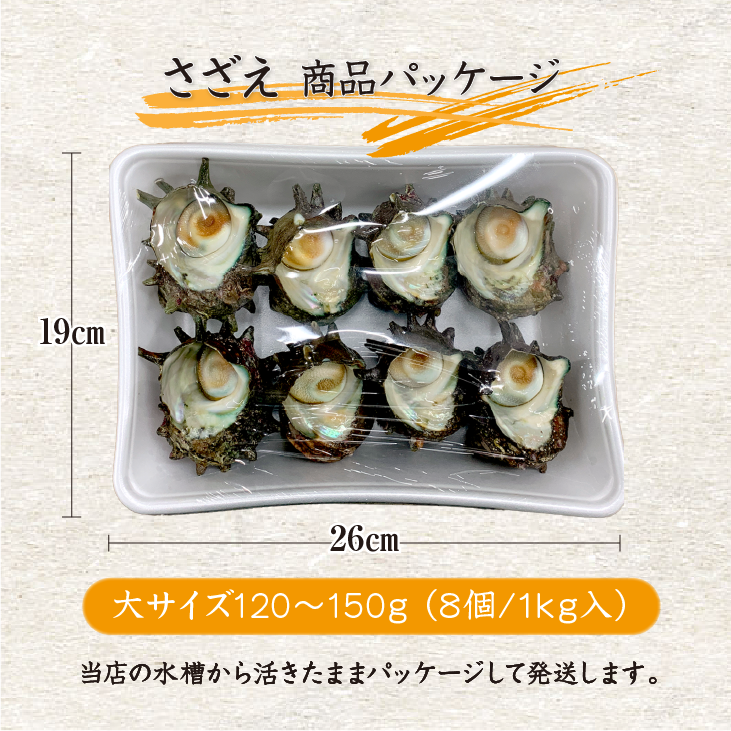 天然活 さざえ 大サイズ 1kg 8個 120～150g [さざえ]