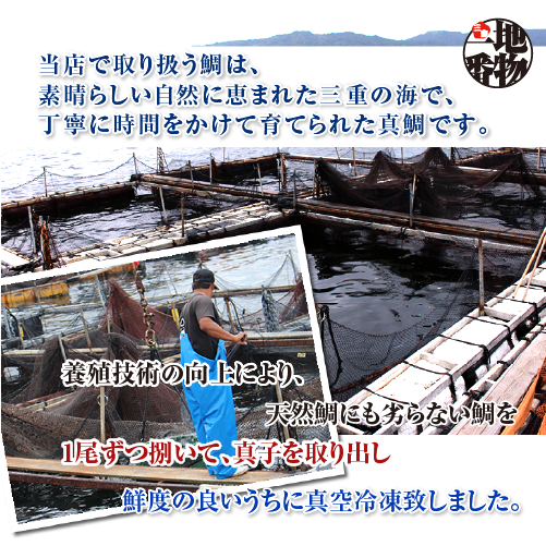 □冷凍 鯛の真子 （国産 養殖）300g [魚介類]