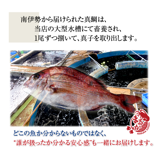 □冷凍 鯛の真子 （国産 養殖）300g [魚介類]