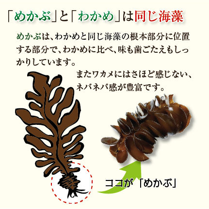 乾燥 刻みめかぶ 30g [めかぶ]