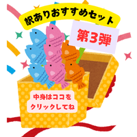 【第3弾！】【在庫限り】【ネット限定】訳ありおすすめセット