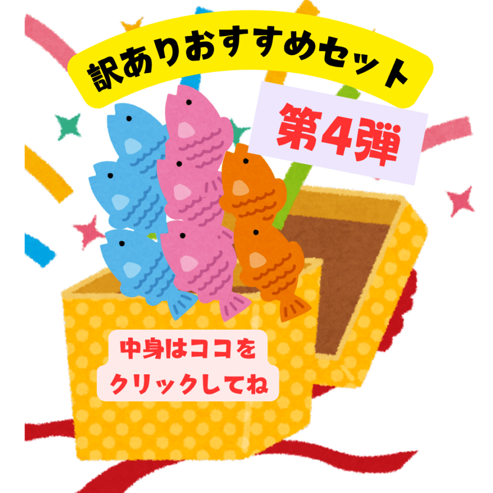【第4弾！】【在庫限り】【ネット限定】訳ありおすすめセット