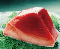 天然南マグロ中トロブロック１個（500g～700g）