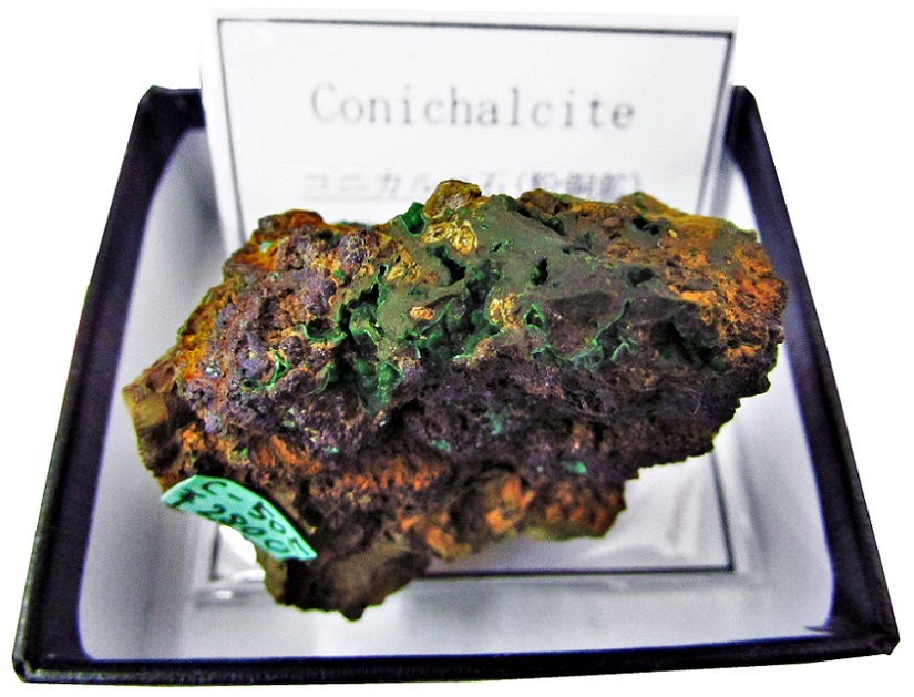 C-505 コニカルコ石(Conichalcite) | 燐酸塩・砒酸塩鉱物,砒酸塩鉱物
