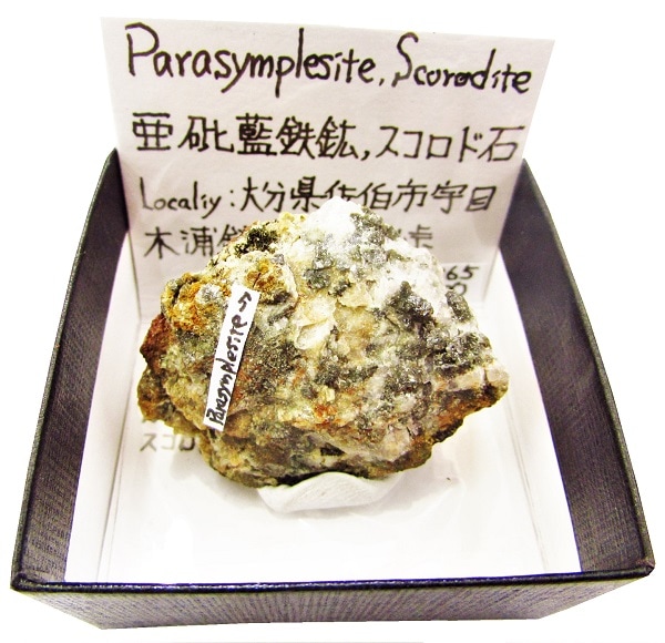 P-365  ������Ŵ��(Parasymplesite)�ȥ���������(Scorodite)