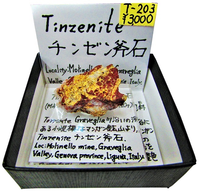 T-203 󥼥(Tinzenite)
