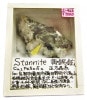 S-463  (Stannite)