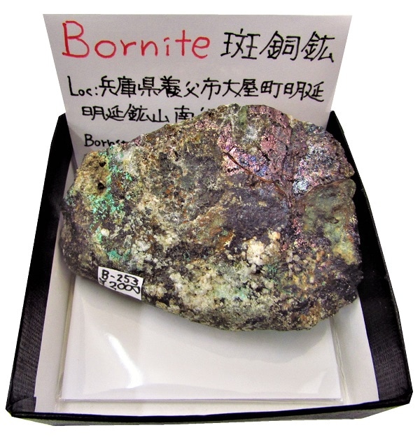 B-253 斑銅鉱(Bornite) | 硫化鉱物,西日本,近畿地方 | Mineral Shop