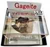 G-308  ��������(Gageite)