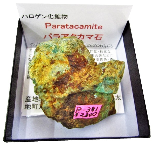 P-381  �ѥ饢��������(Paratacamite)