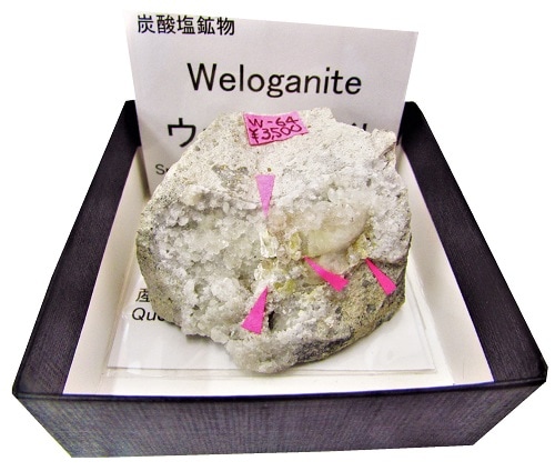 W-64 ʥ(Weloganite)