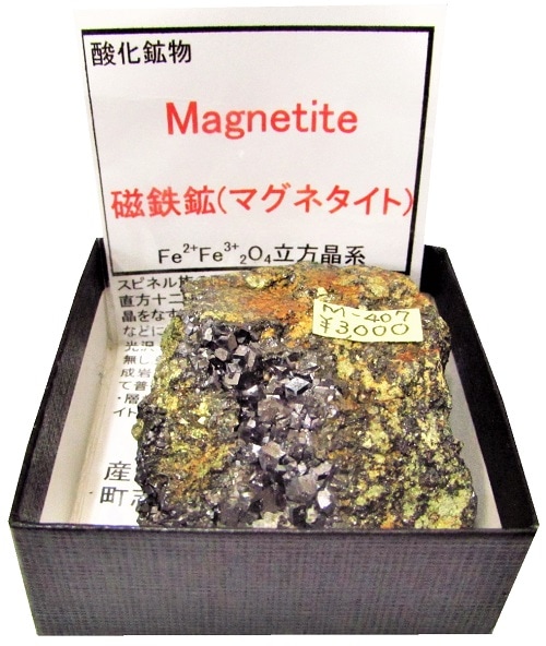 M-407 磁鉄鉱(Magnetite) | 酸化鉱物,西日本 | Mineral Shop たんくら