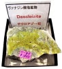 D-89 �ǥ�����������(Descloizite)