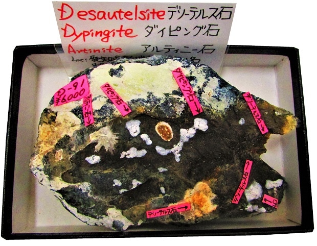 D-91 �ǥ����ƥ륹��(Desautelsite)�ȥ����ԥ���(Dypingite)�ȥ���ƥ��ˡ���(Artinite)