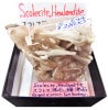 S-544 쥹ʨ(Scolecite)ȵʨ(Heulandite)