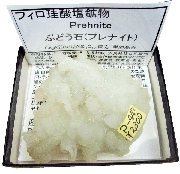 P-447 ぶどう石(Prehnite) | 外国産鉱物 | Mineral Shop たんくら