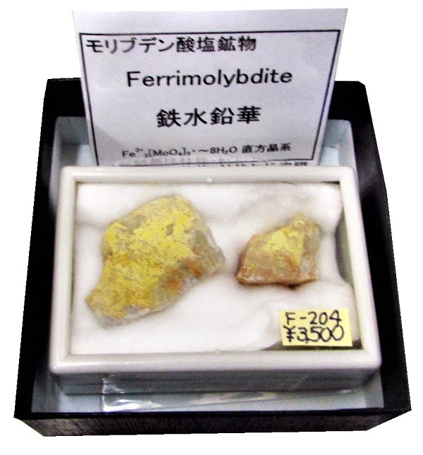 F-204 鉄水鉛華(Ferrimolybdite) | その他,モリブデン酸塩 | Mineral