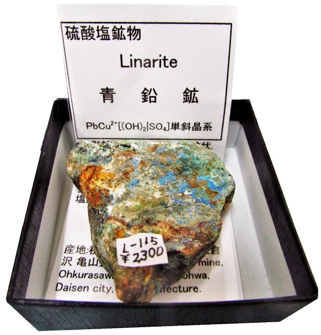 L-115 青鉛鉱(Linarite) | 硫酸塩鉱物 | Mineral Shop たんくら