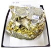 C-730 ��Ƽ��(Chalcopyrite)