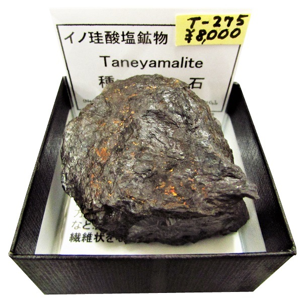 T-275 種山石(Taneyamalite) | 珪酸塩鉱物,西日本,九州地方 | Mineral