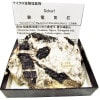 S-574 Ŵ�ŵ���(Schorl)